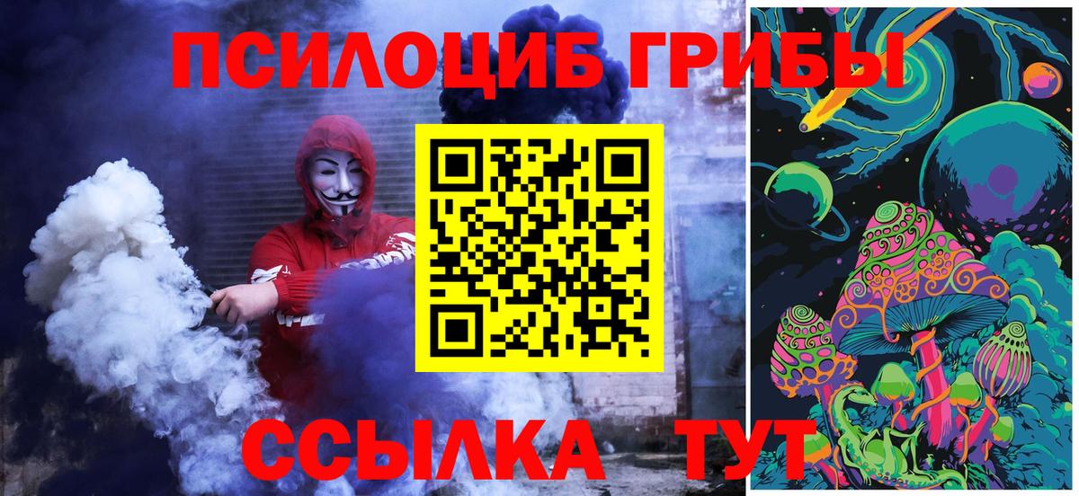 Псилоцибиновые грибы Magic Shrooms Зима