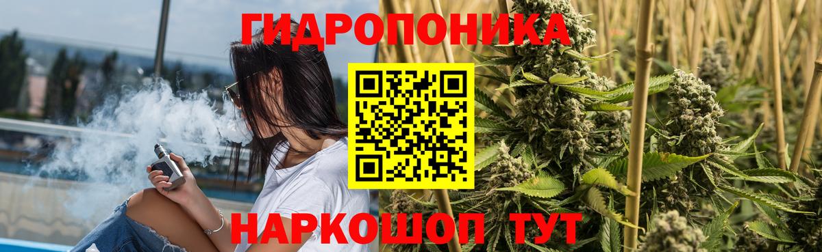 Канабис Amnesia  Марихуана THC 21%  Зима  Вход с VPN  Бошки Шишки марихуана 